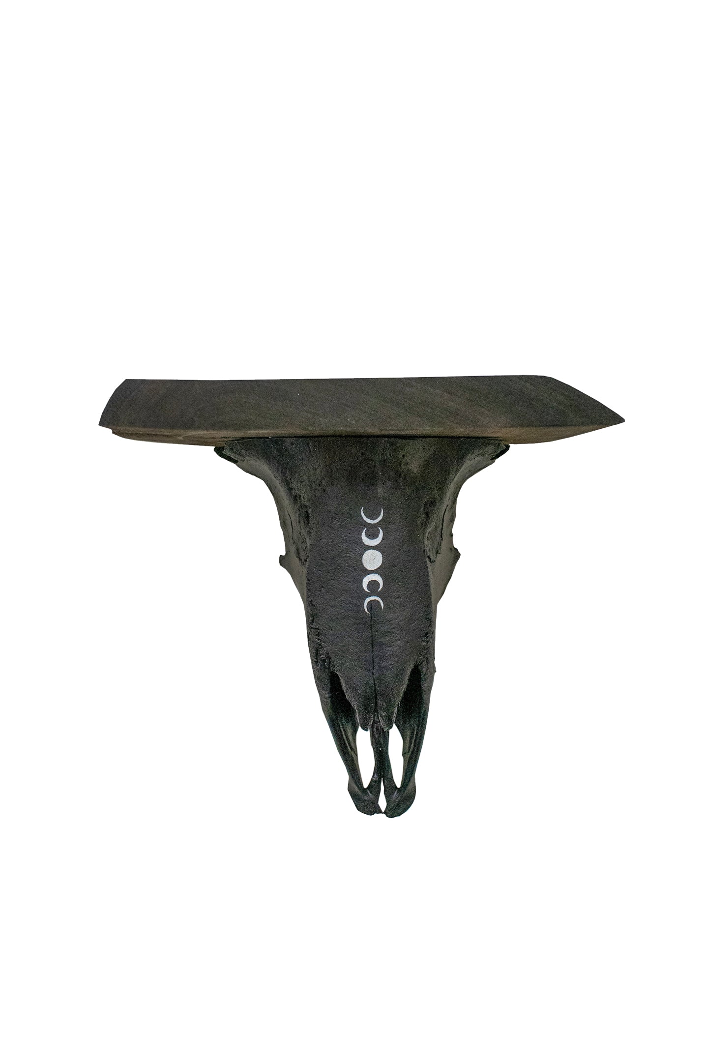 moon phase sheep skull shelf
