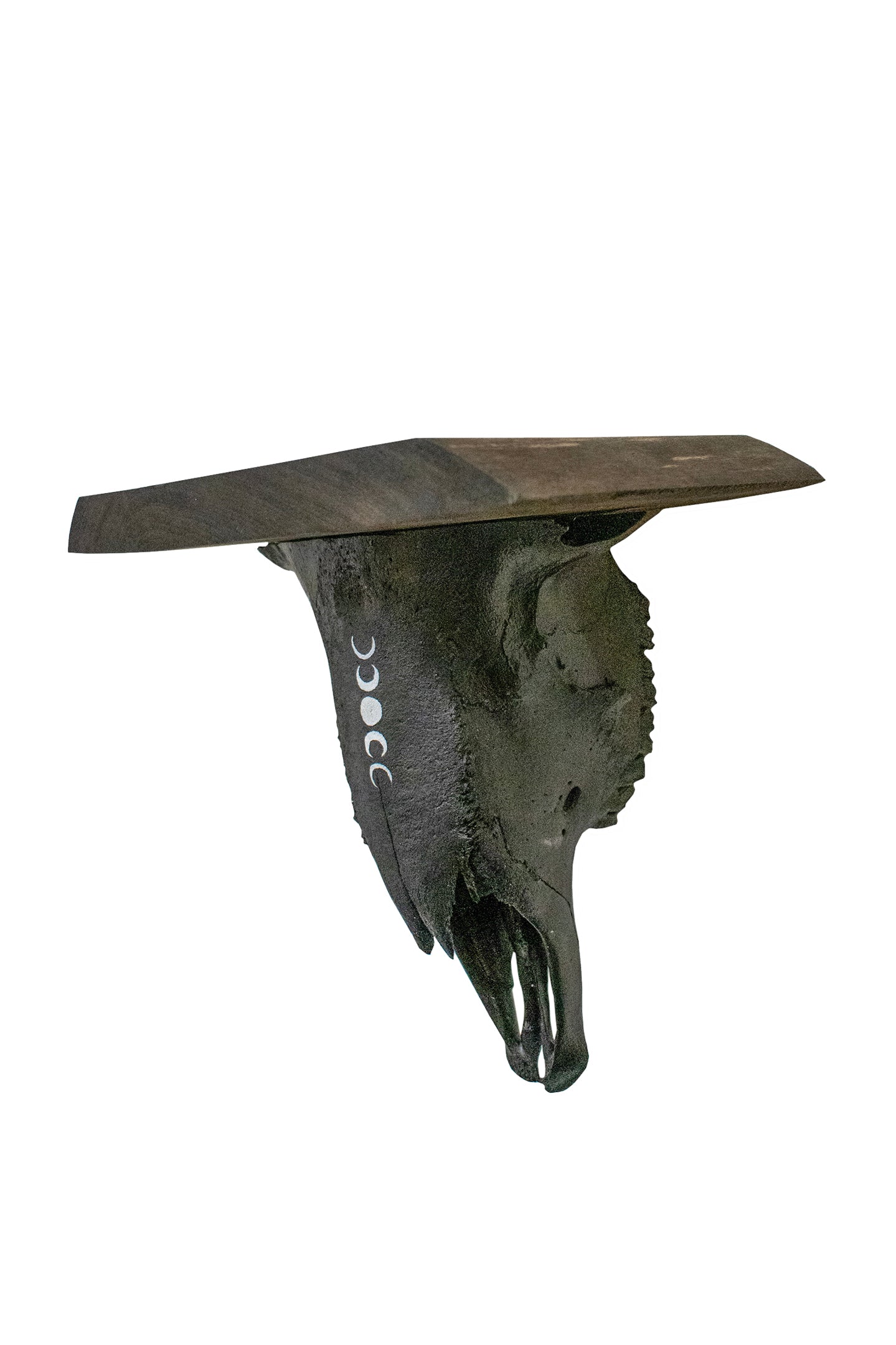 moon phase sheep skull shelf