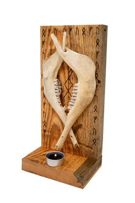 prosperity bindrune & sheep jawbones altar