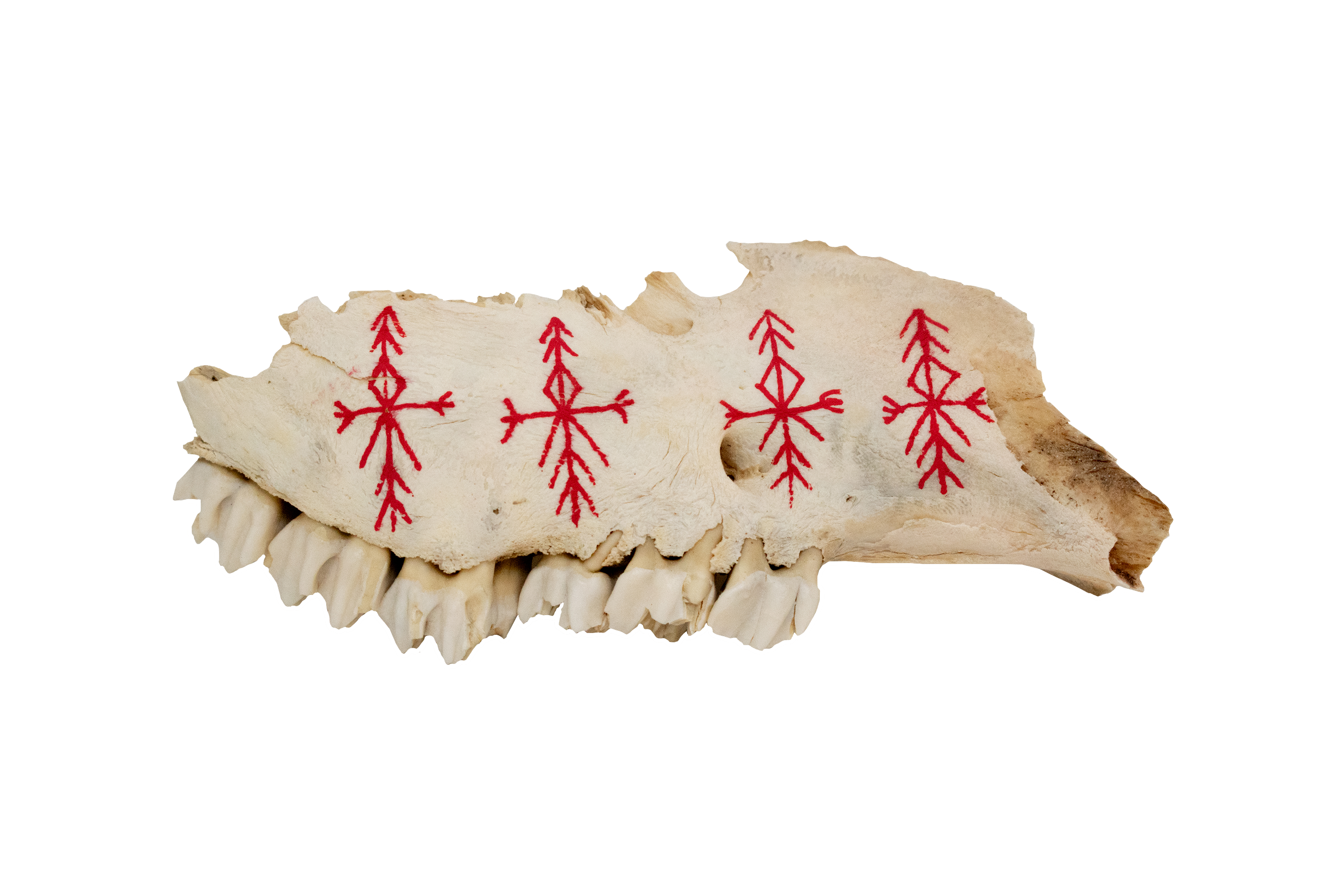 painted bone talismans