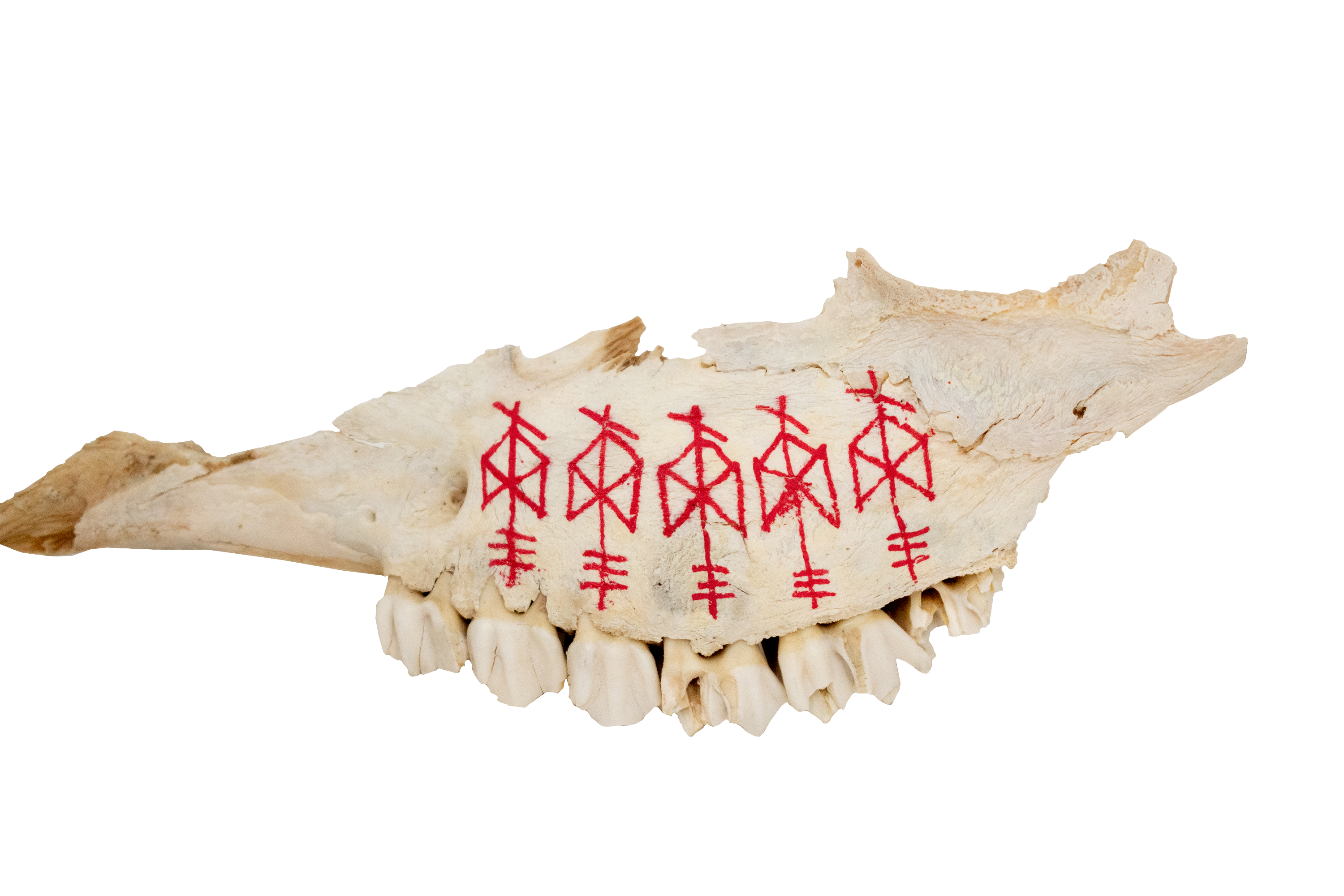 painted bone talismans