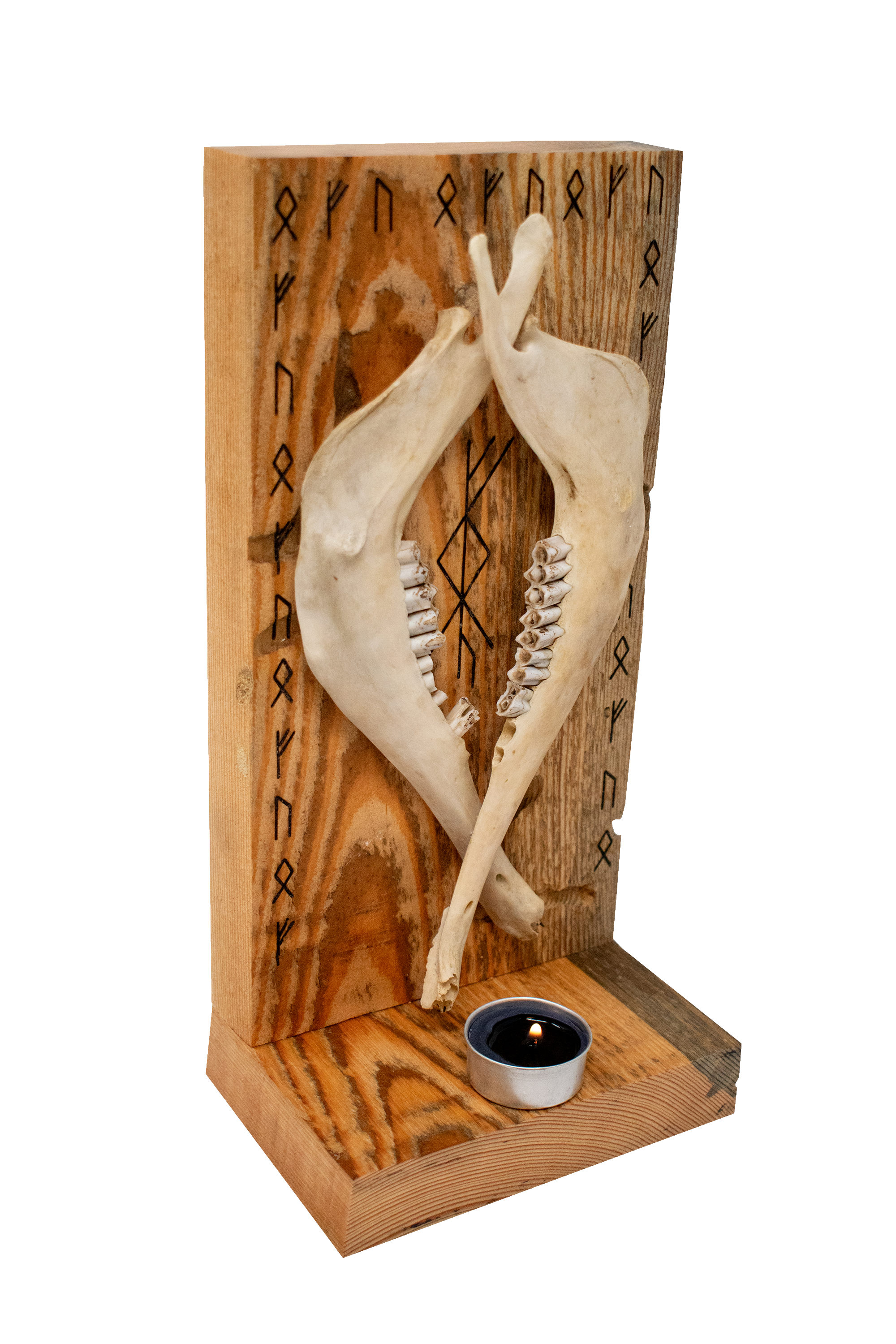 prosperity bindrune & sheep jawbones altar