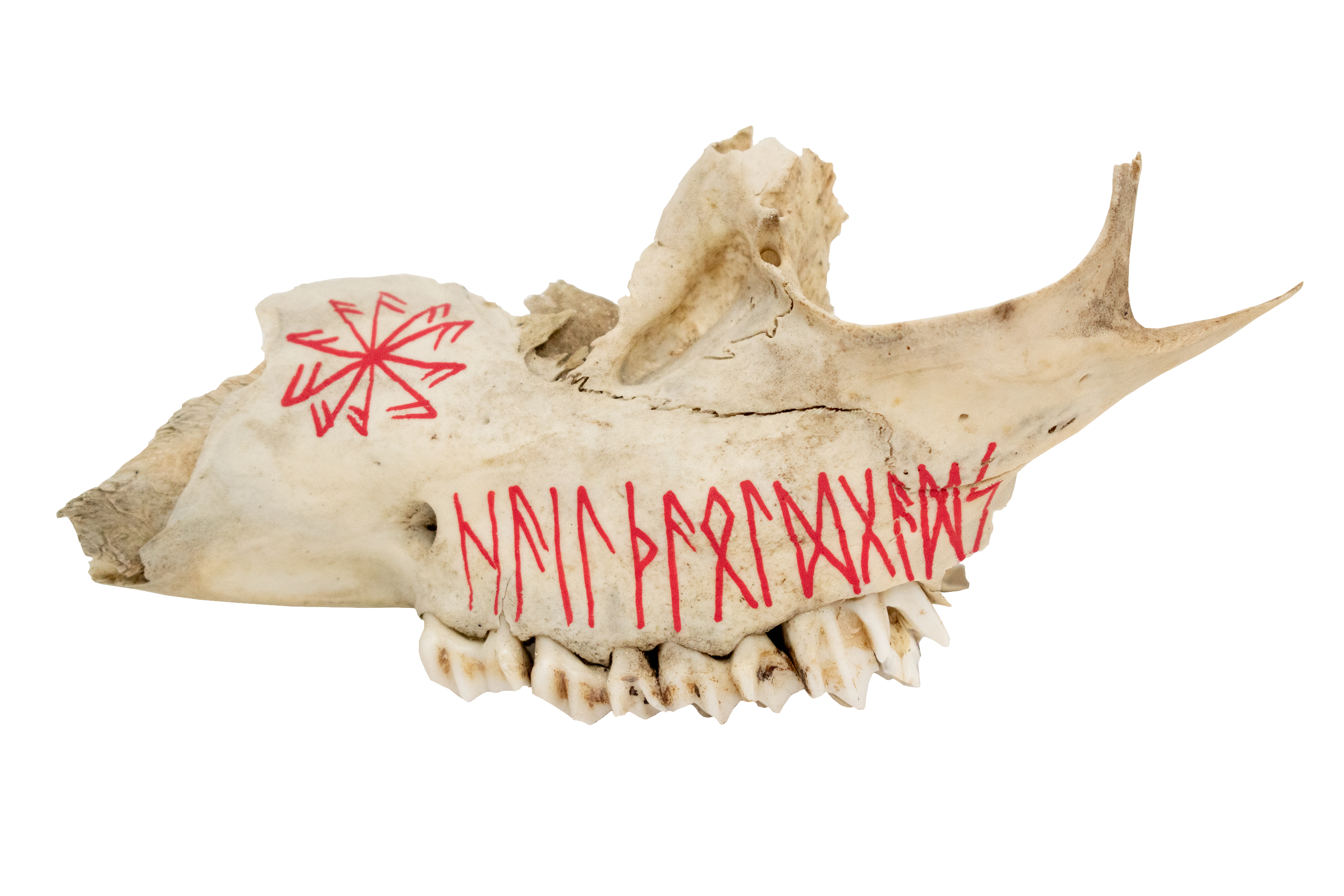 painted bone talismans