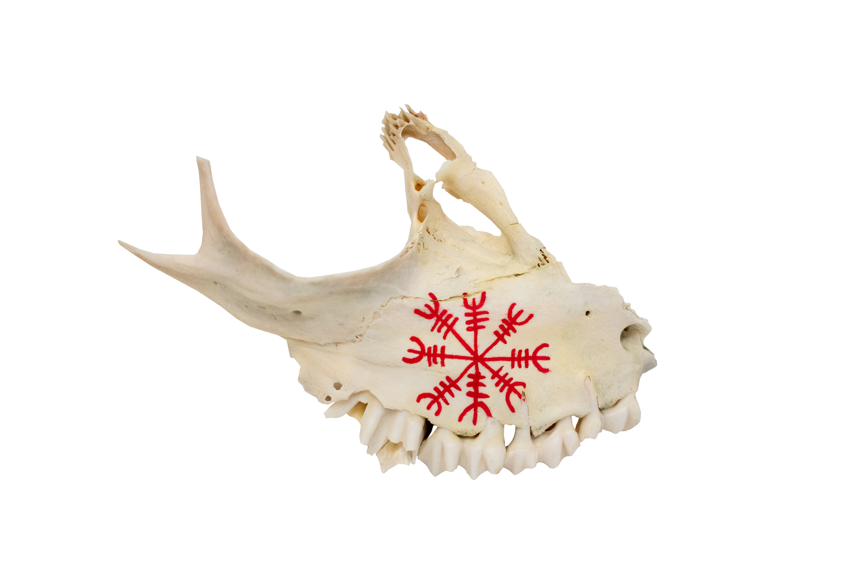 painted bone talismans