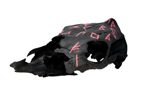 Image of blackened fully runic cow skull