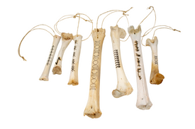 deer leg talismans
