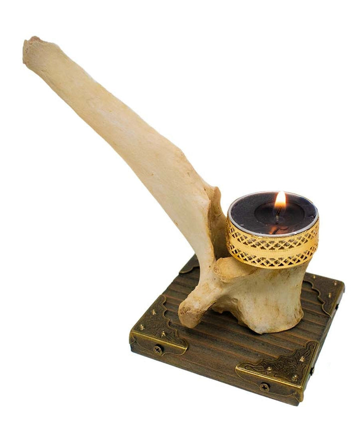Elk vertebra candle holder