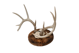 Veldismagn euro mount