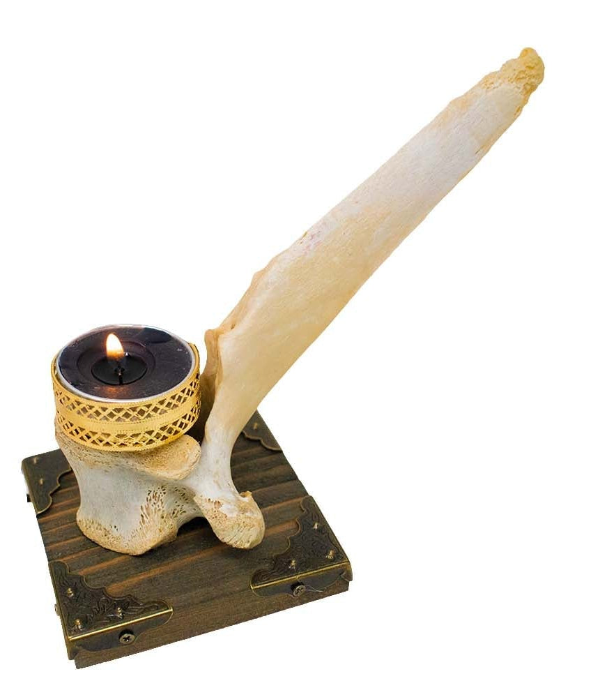 Elk vertebra candle holder