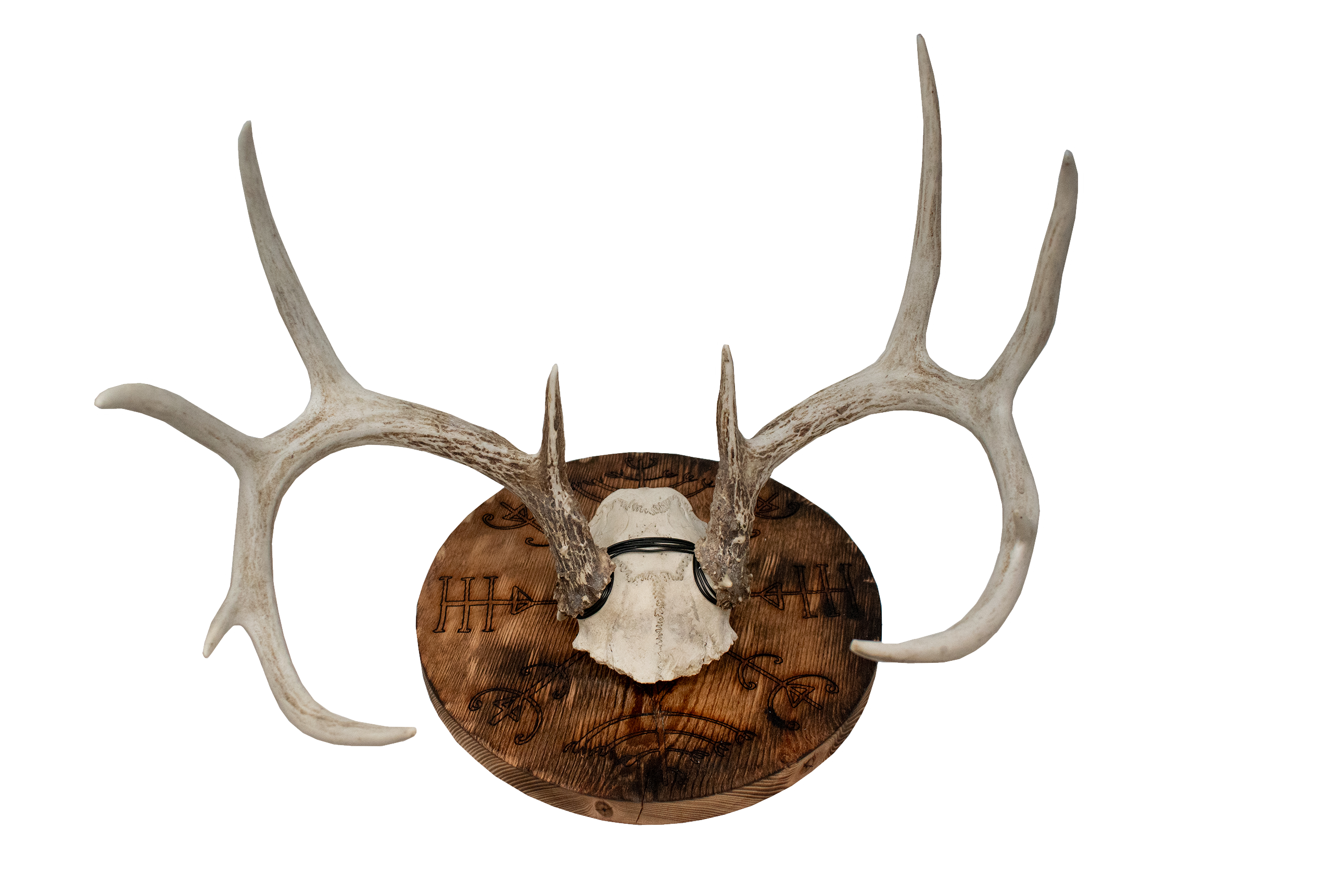 Veldismagn euro mount