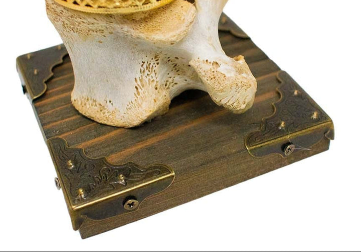 Elk vertebra candle holder