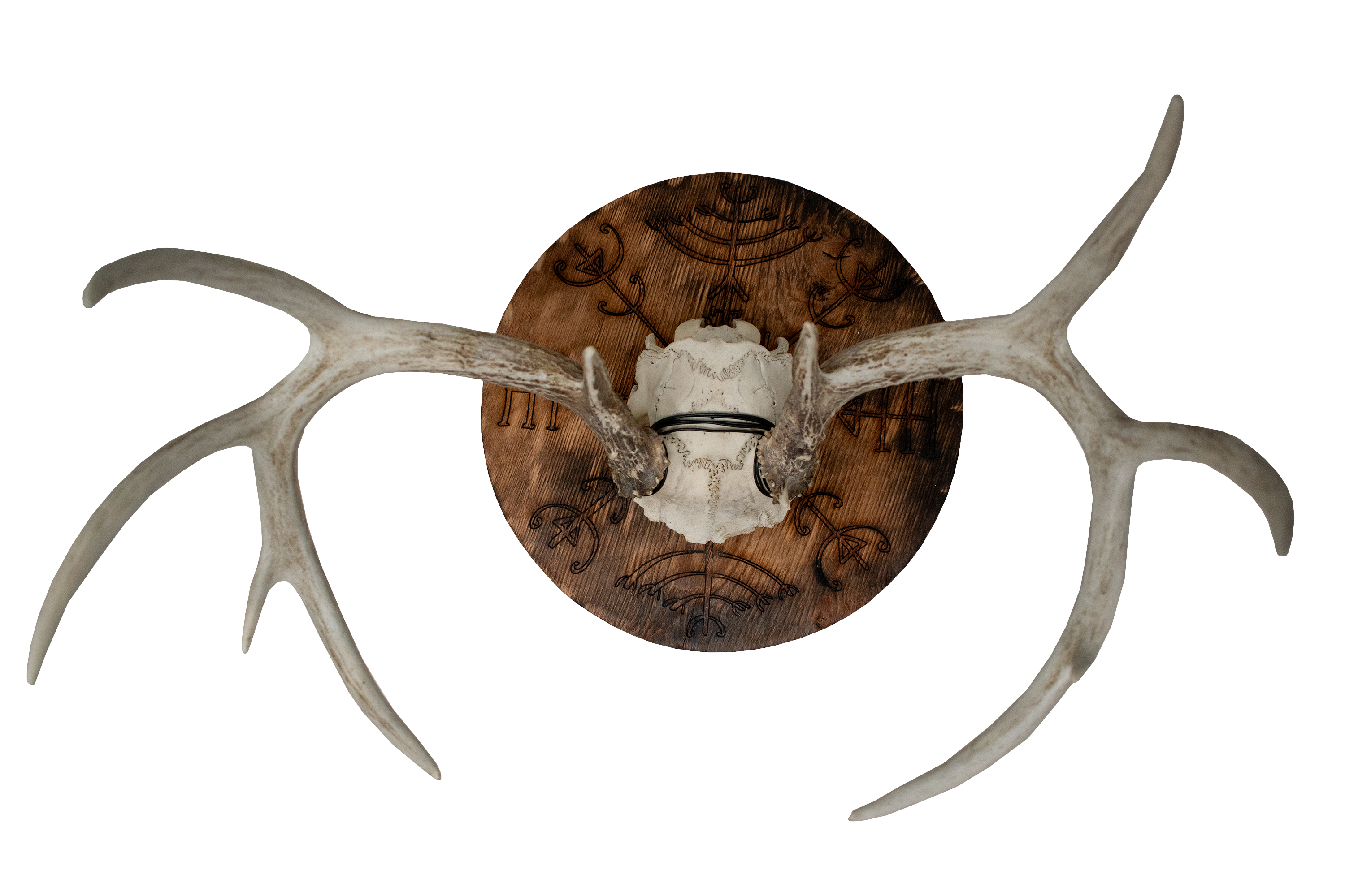 Veldismagn euro mount