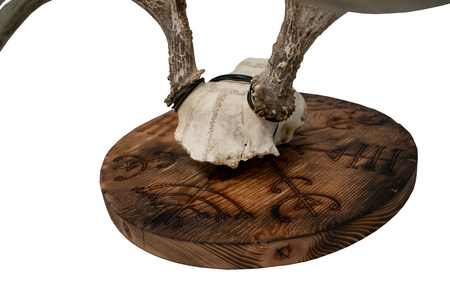 Veldismagn euro mount