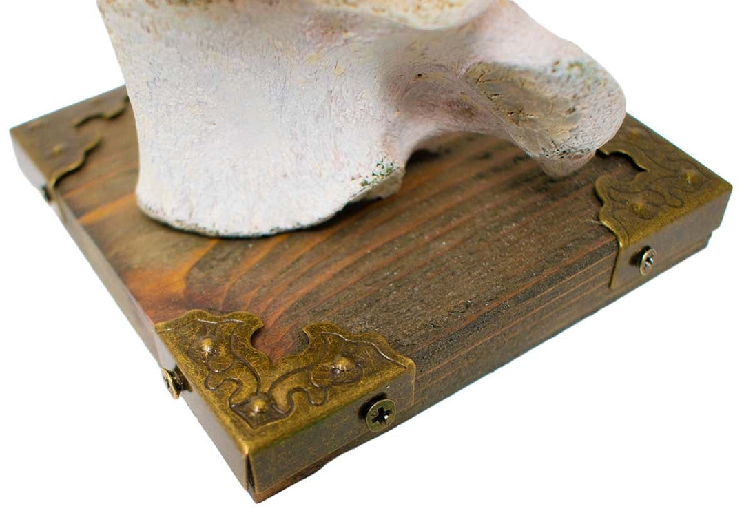 Elk vertebra candle holder