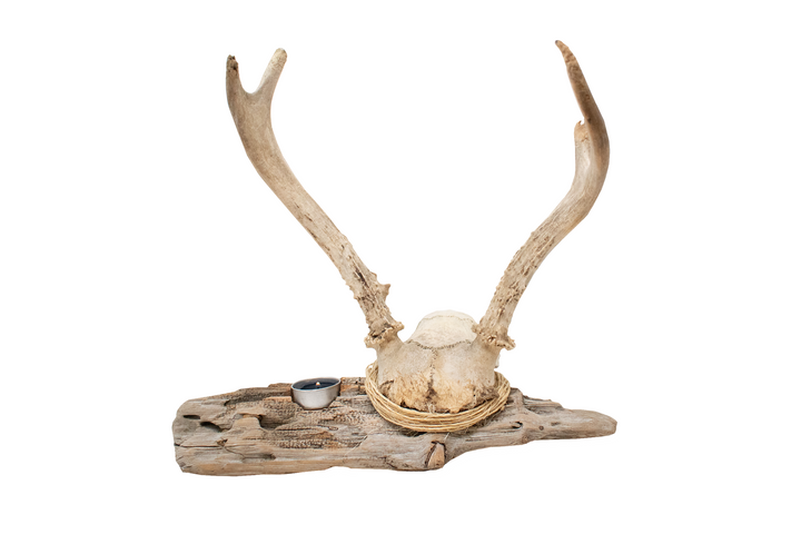antler driftwood tealight candle holder