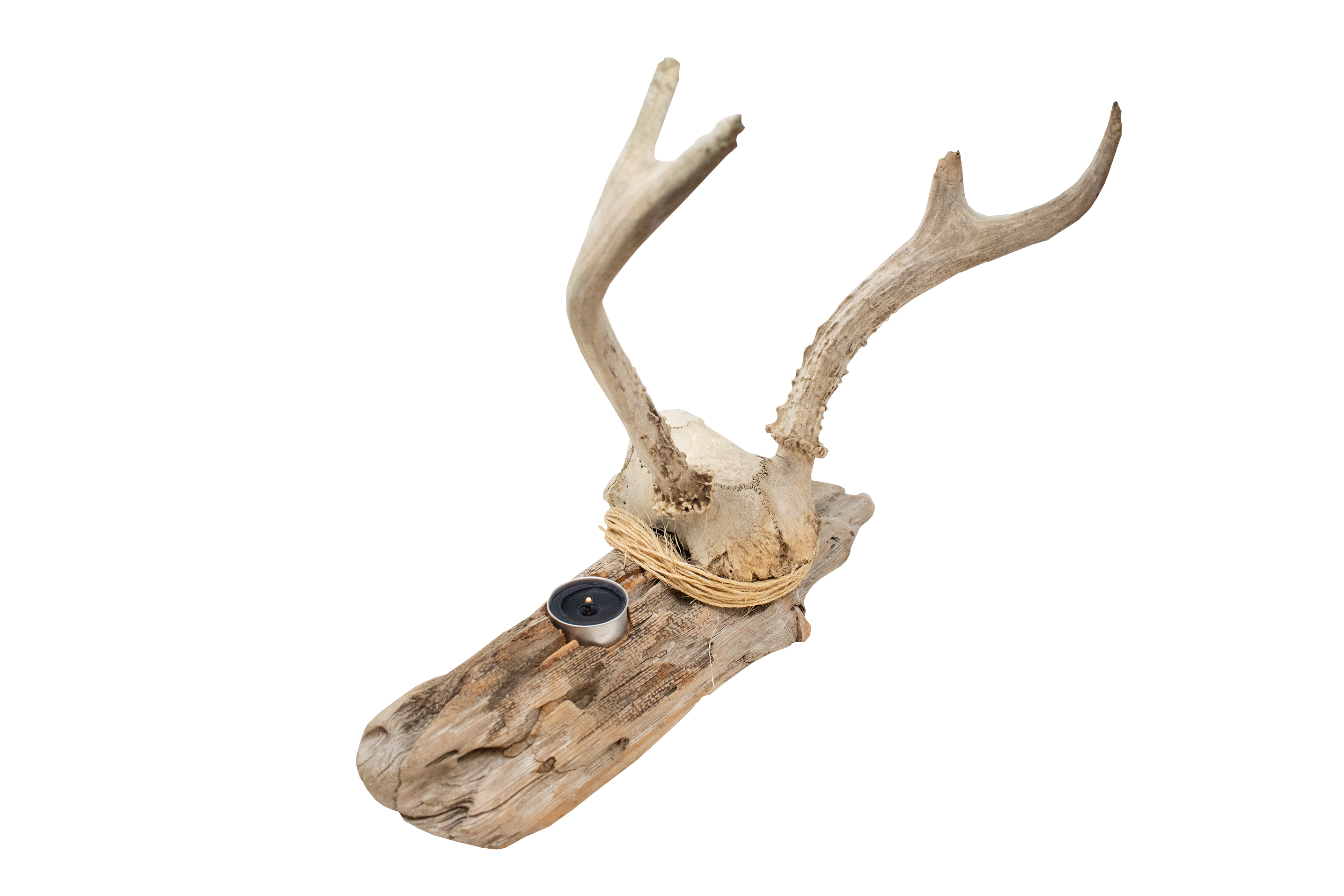 antler driftwood tealight candle holder