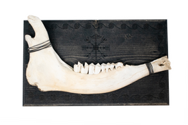 veldismagn elk jawbone hanger