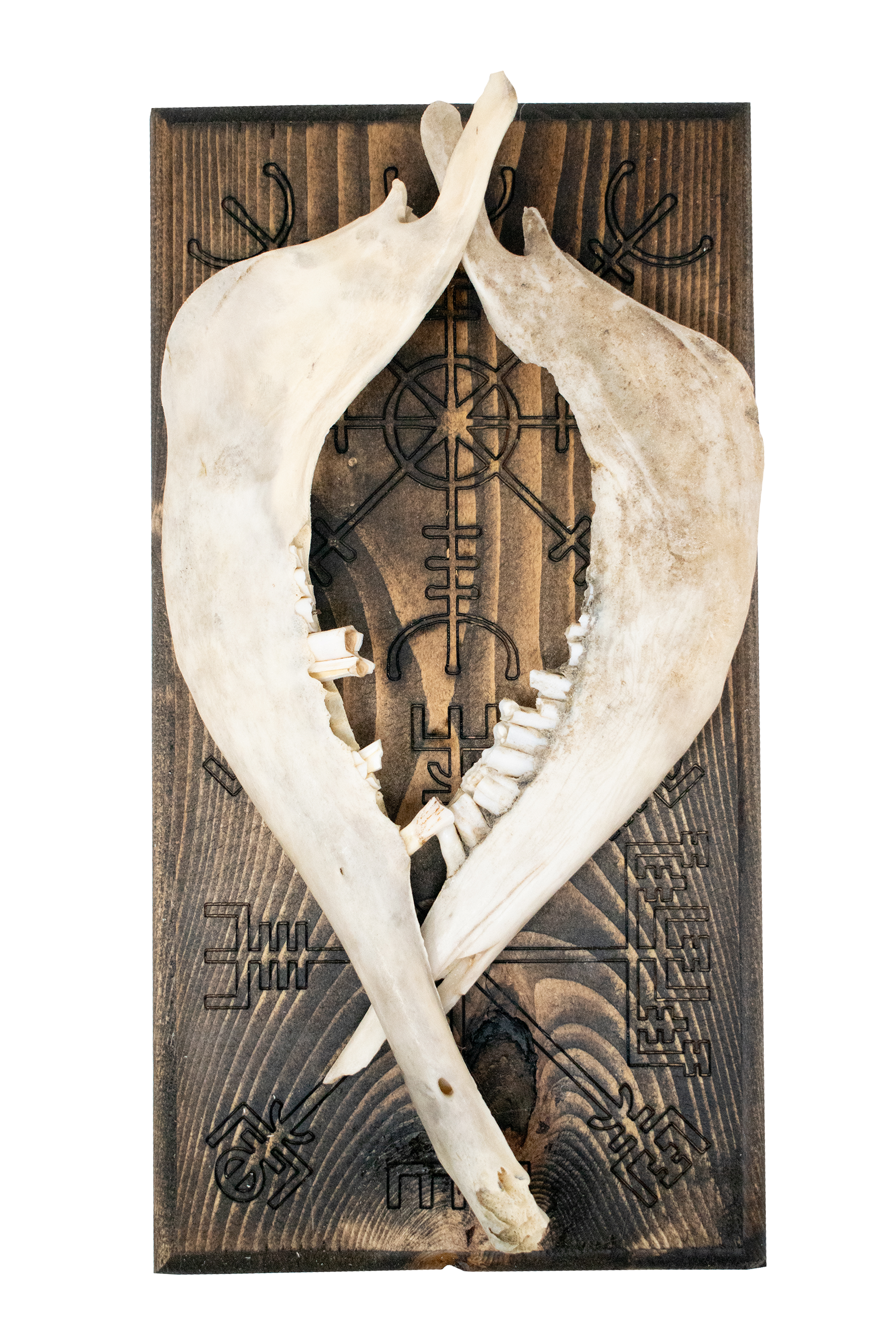 vegvisir & helm of awe double sheep jaw hanger