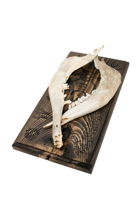 vegvisir & helm of awe double sheep jaw hanger