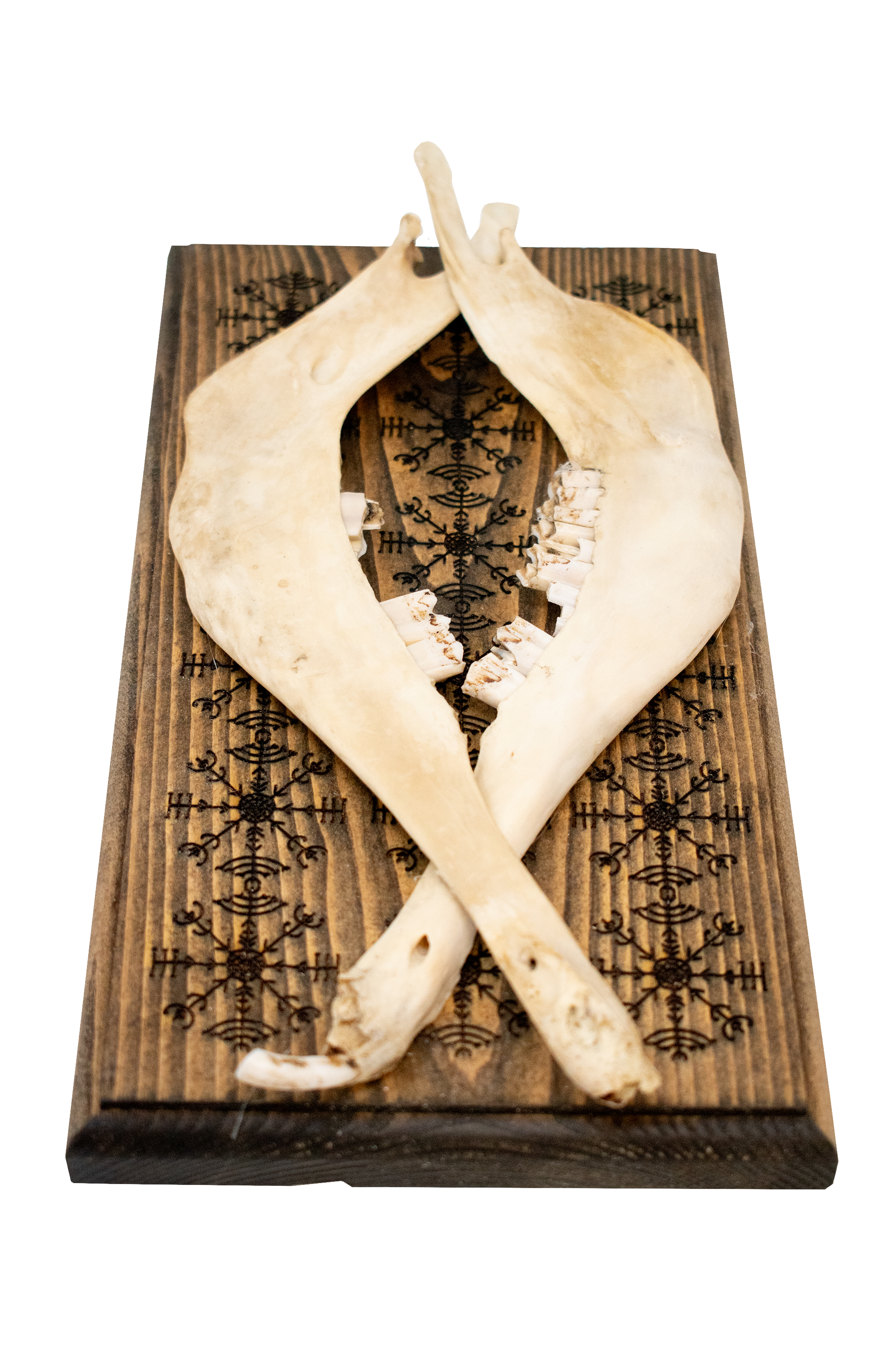 veldismagn sheep jawbone hanger