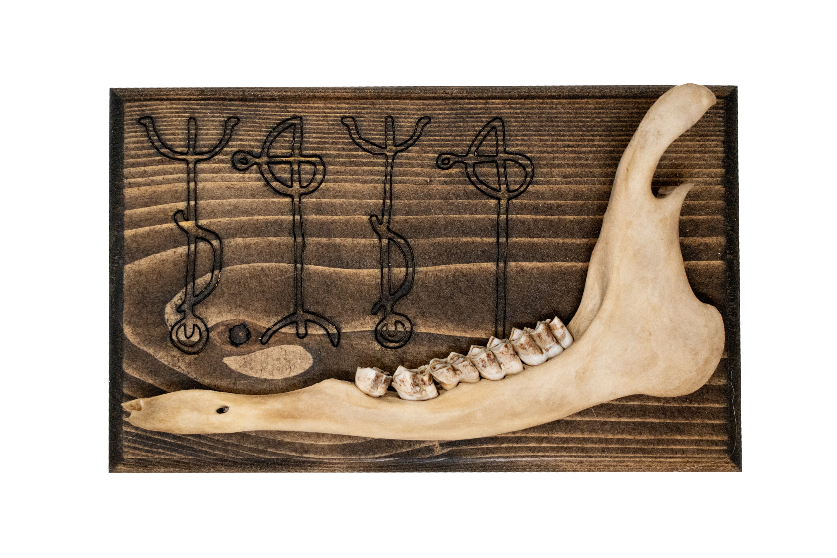 Draumstafir deer jawbone hanger