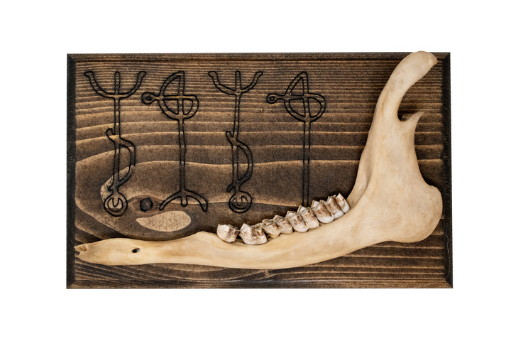 Draumstafir deer jawbone hanger