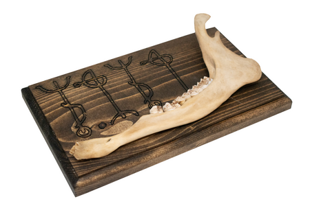Draumstafir deer jawbone hanger