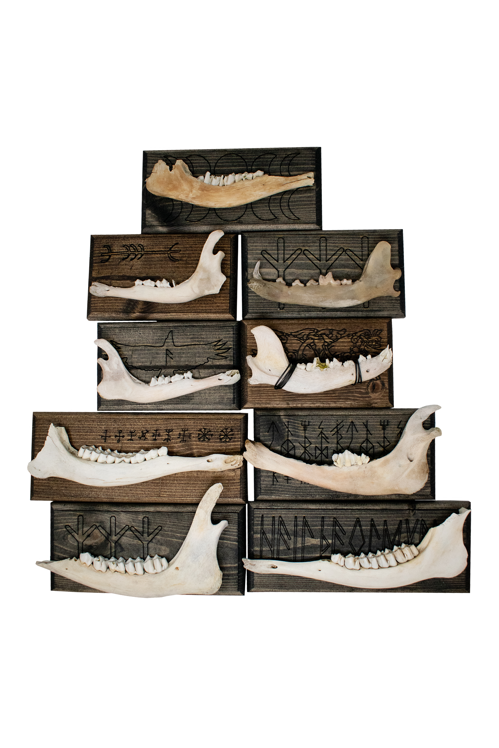 norse symbols jawbone wall hanger