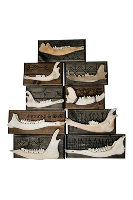 norse symbols jawbone wall hanger