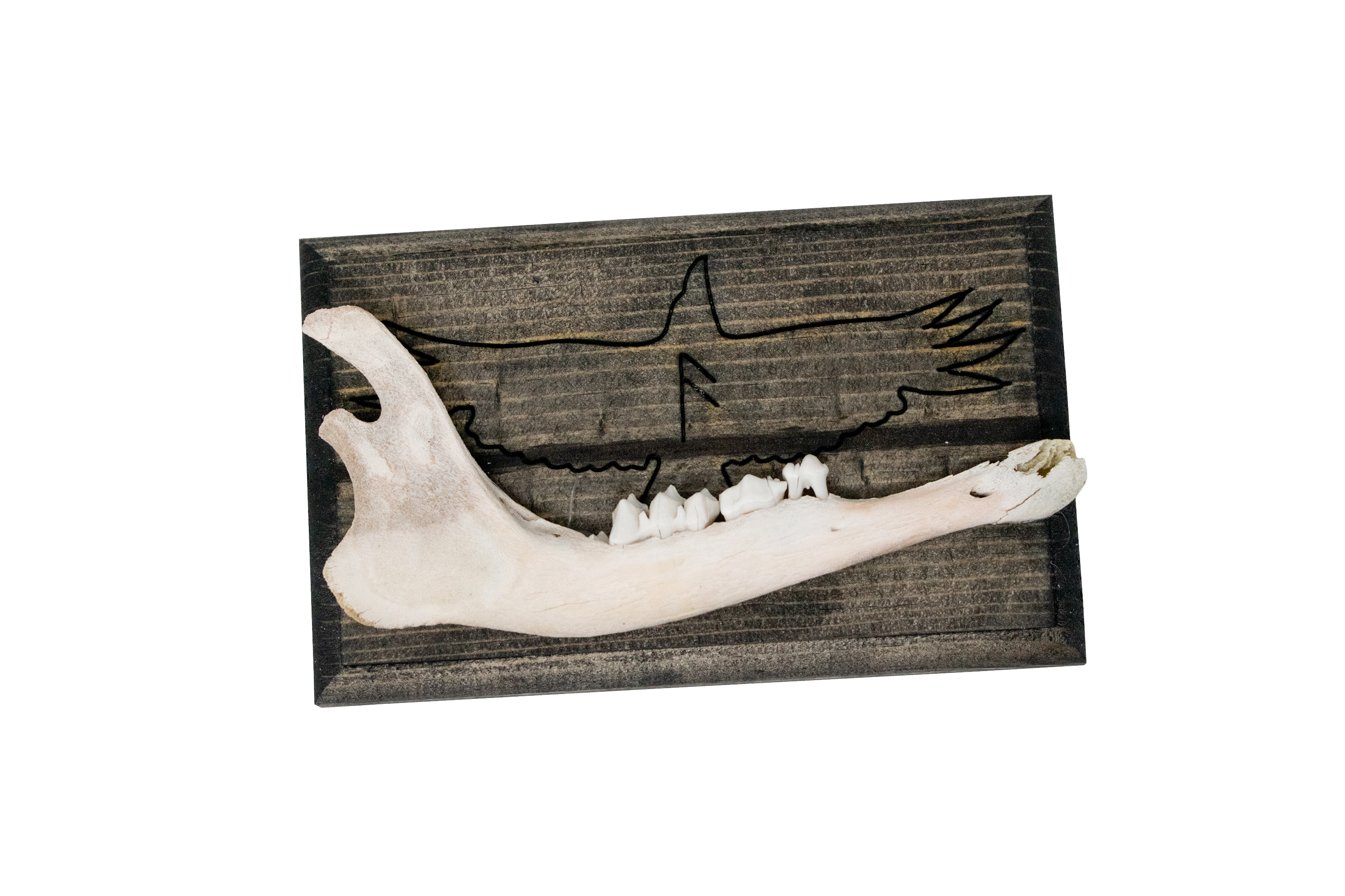 norse symbols jawbone wall hanger