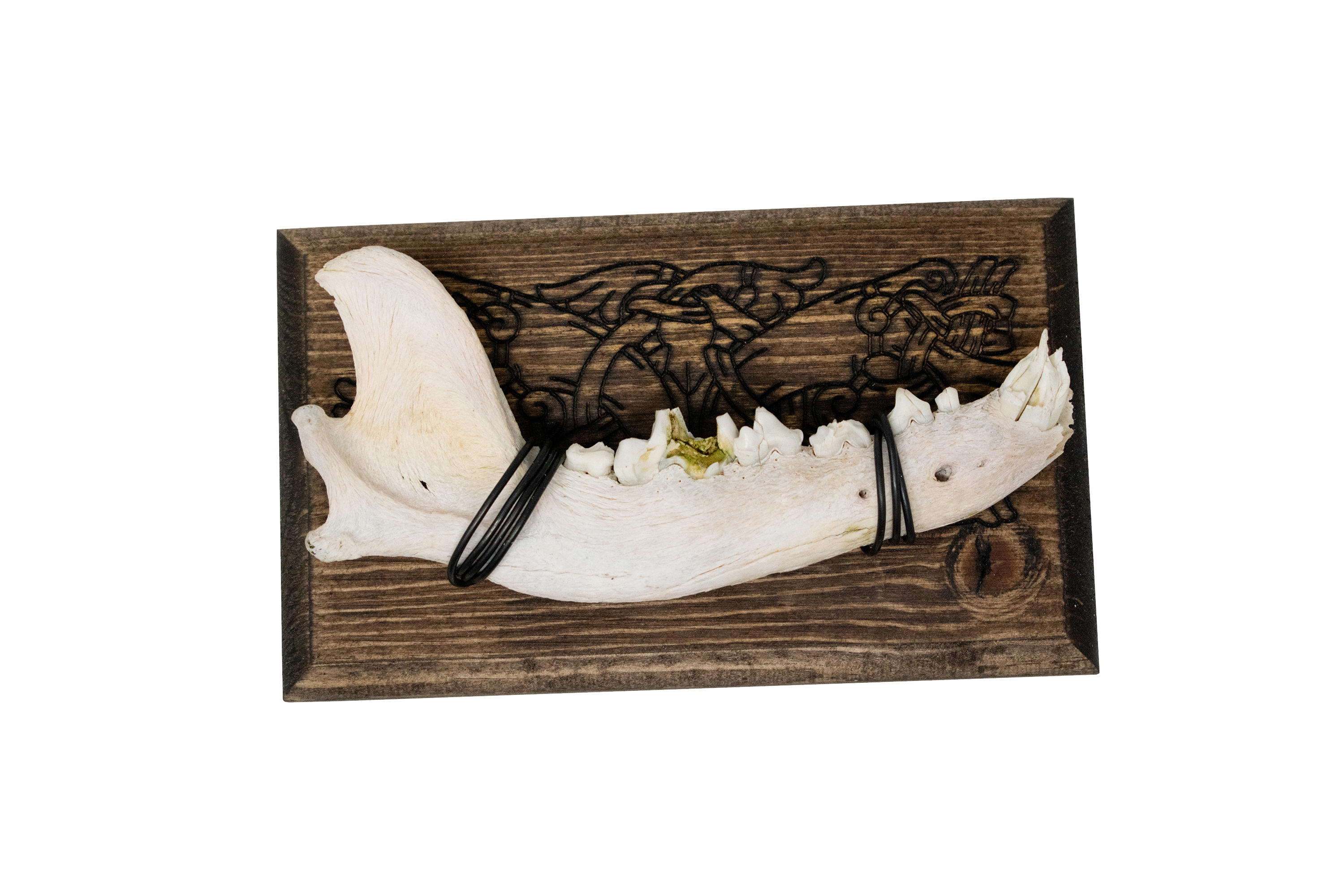 norse symbols jawbone wall hanger