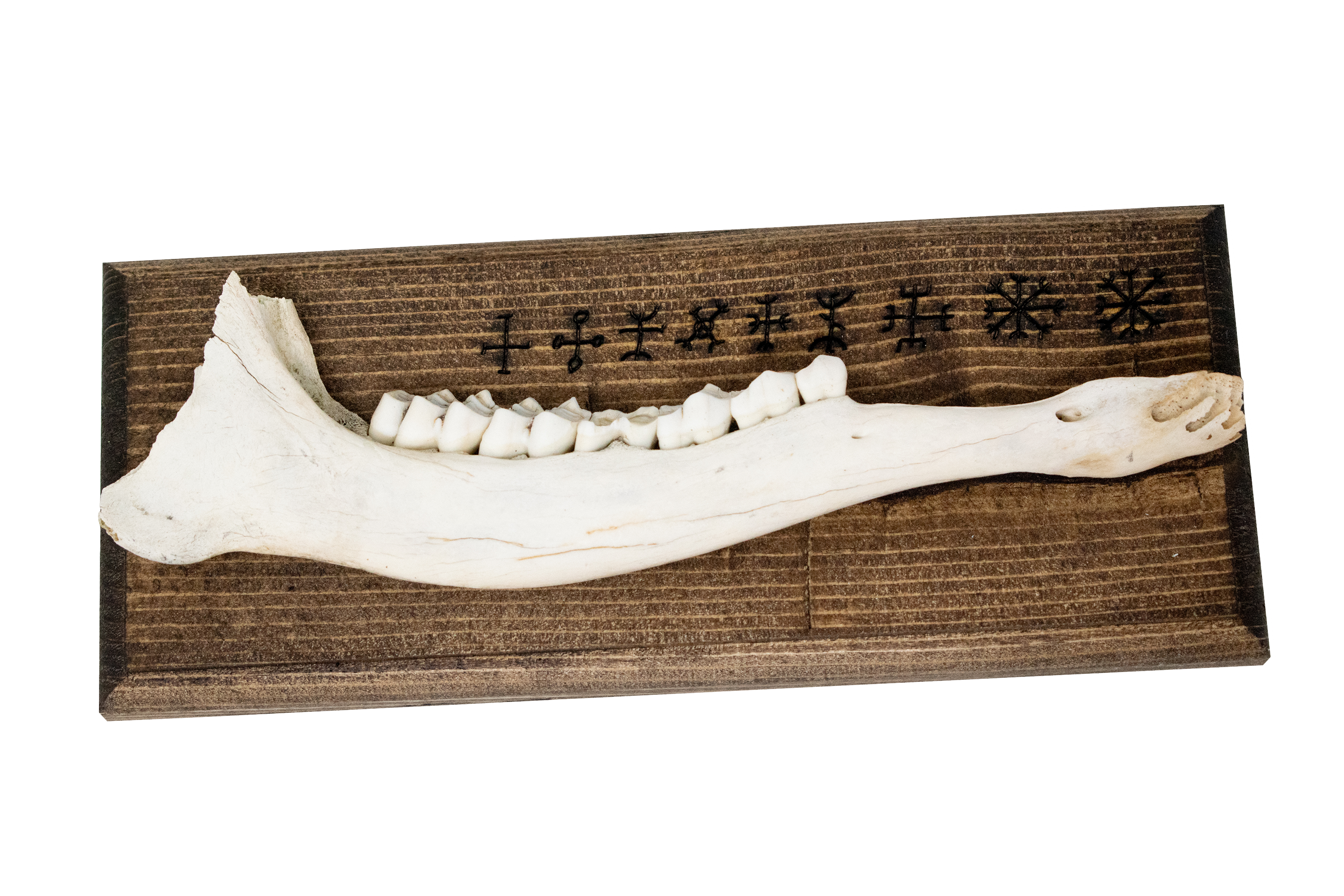 norse symbols jawbone wall hanger