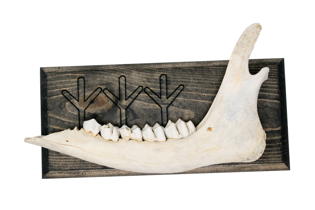 norse symbols jawbone wall hanger