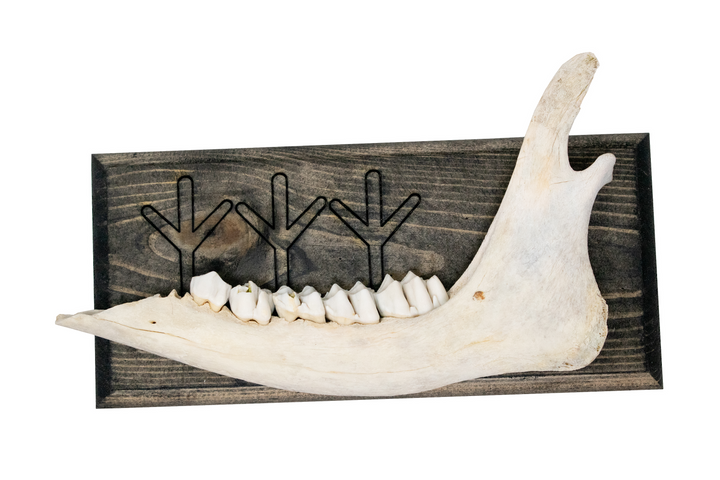 norse symbols jawbone wall hanger
