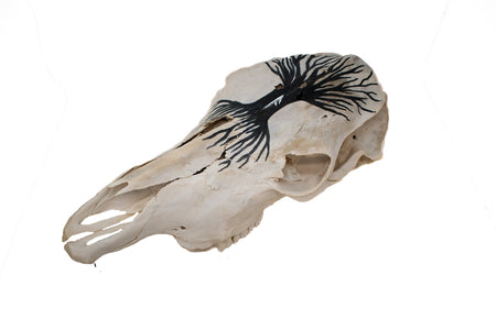 Yggdrasil cow skull