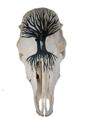 Image of Yggdrasil cow skull