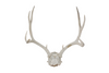antler deer skull cap #7