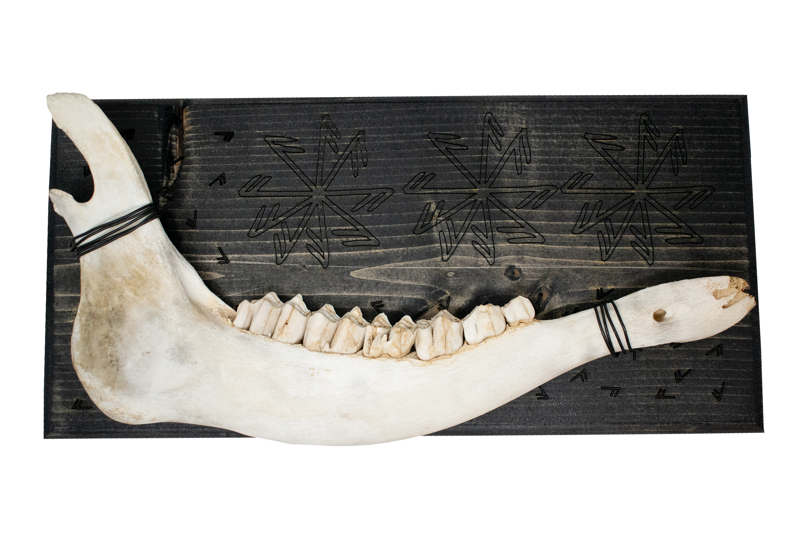 Connection to the norse gods elk jawbone hanger