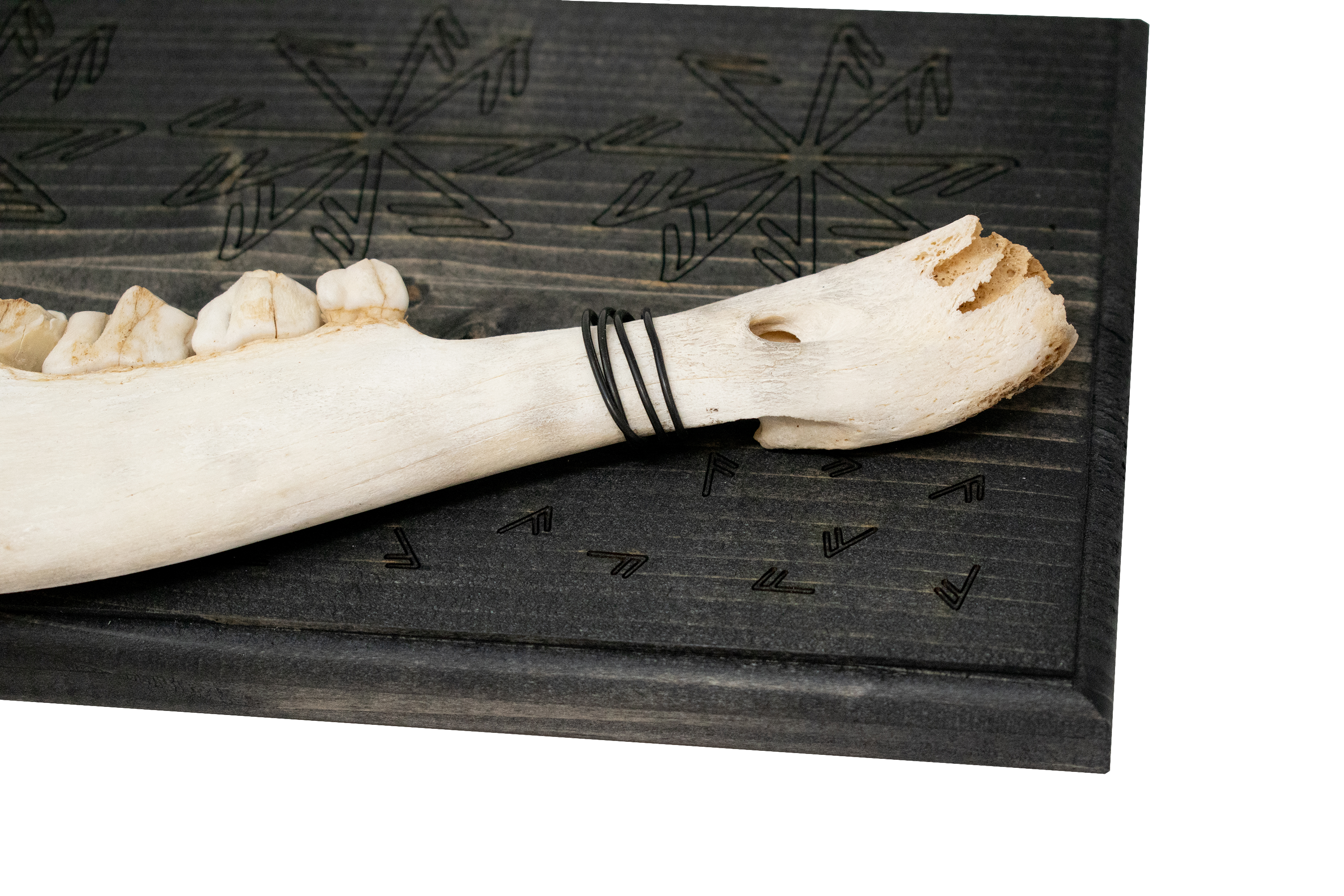 Connection to the norse gods elk jawbone hanger