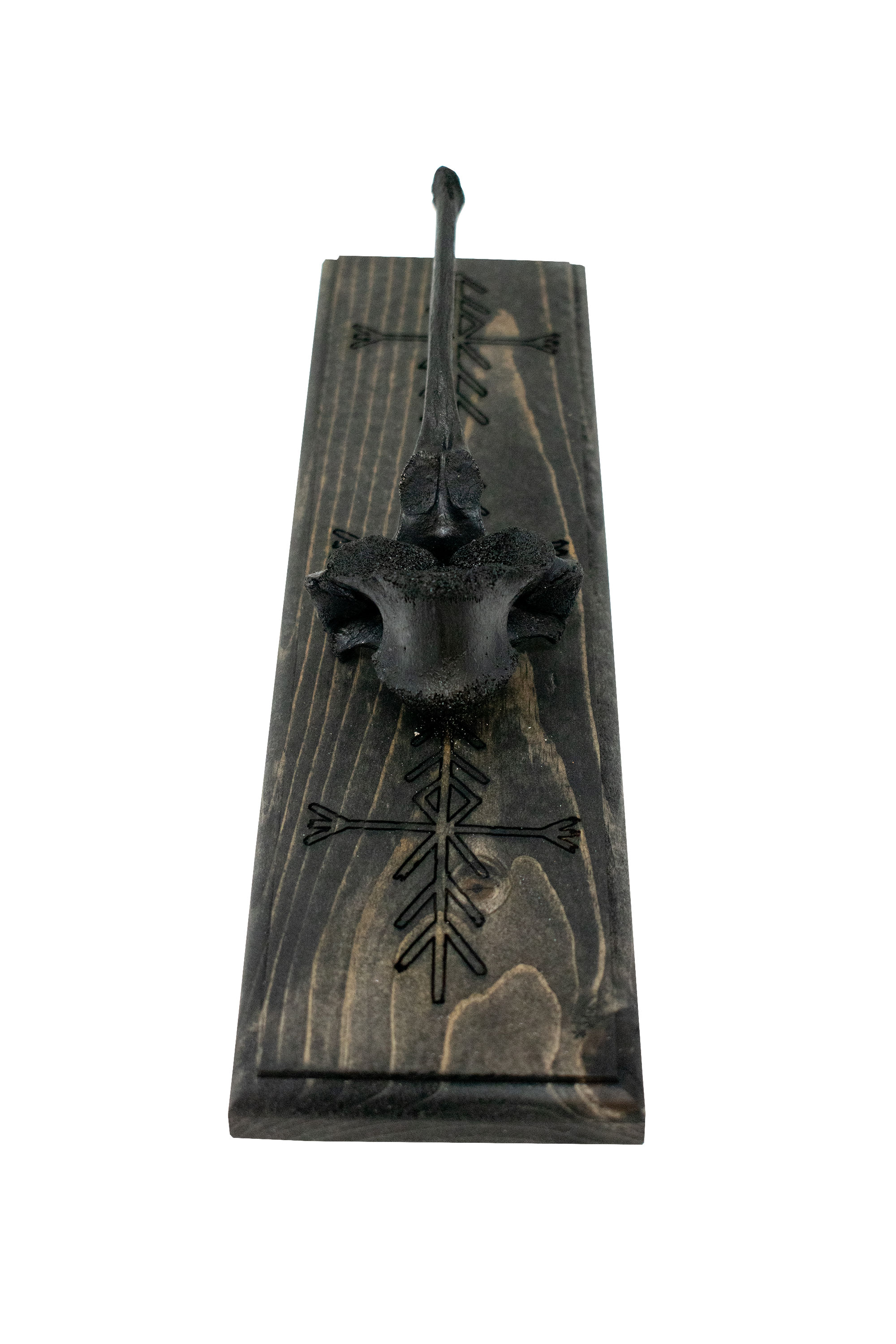 blackened elk vertebra and home protection bindrunes wall hanger