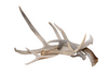 lot of 4 antlers