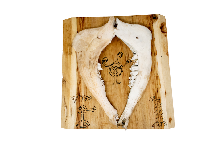 Icelandic magical staves double elk jawbone hanger