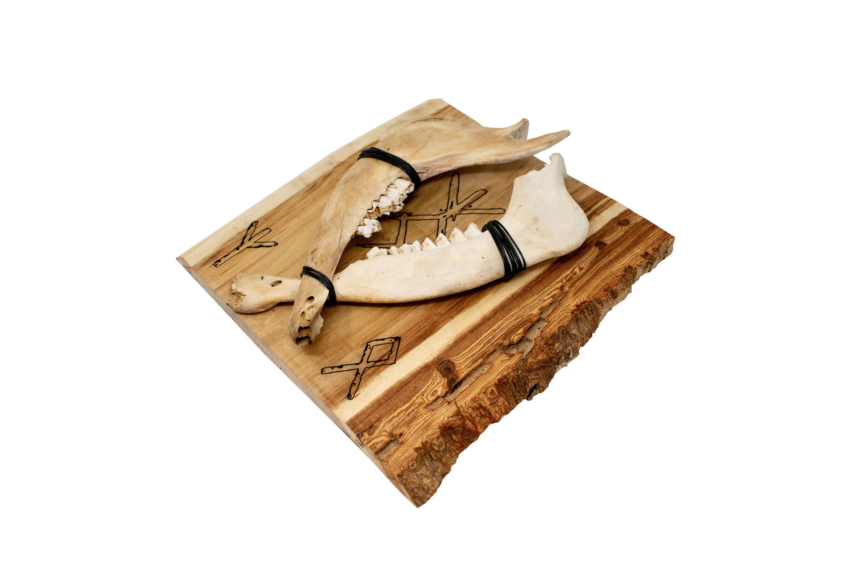 Family protection double elk jawbone hanger