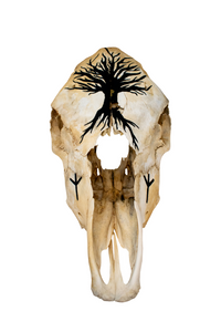 Yggdrasil cow skull