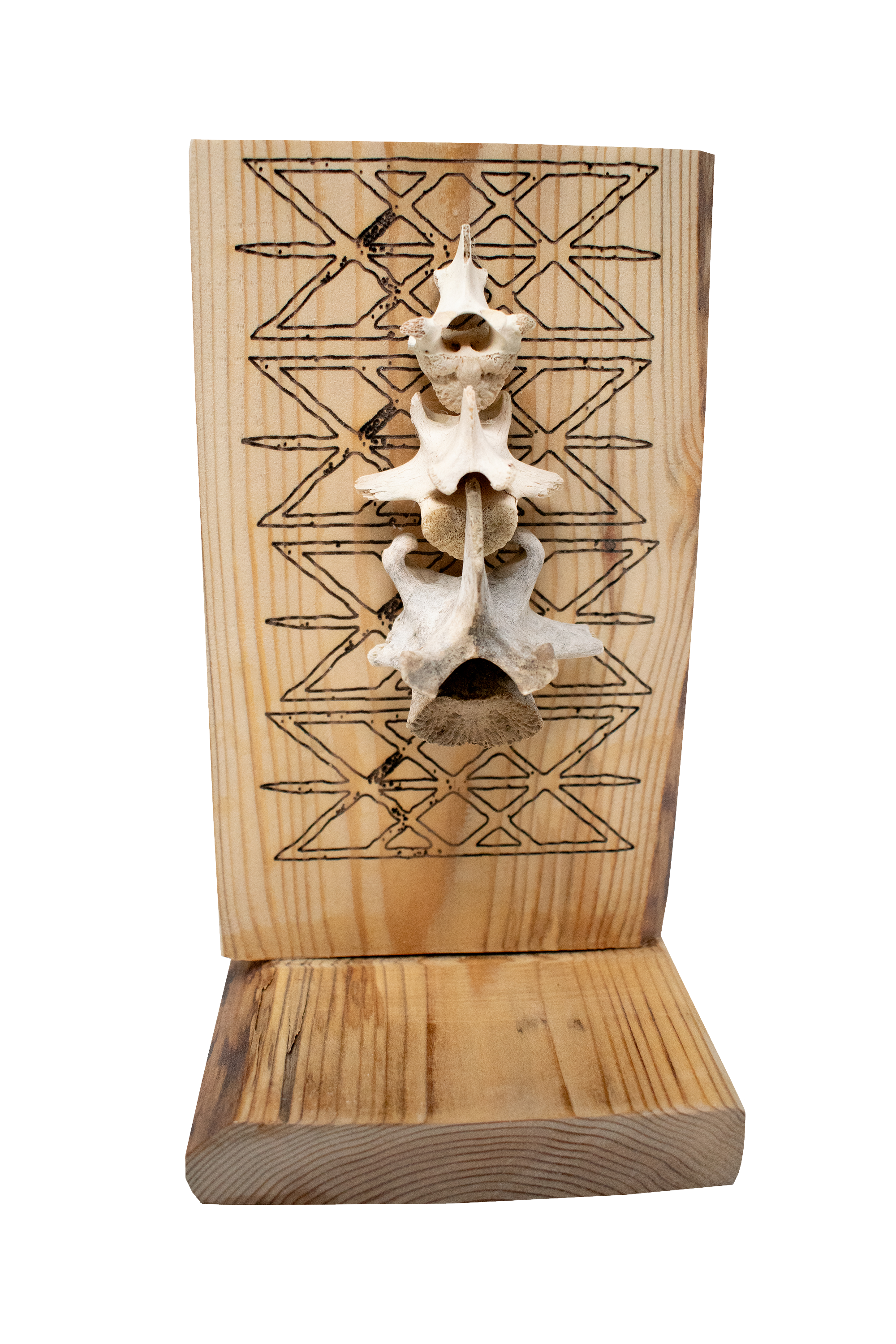 Web of Wyrd and Deer Vertebra Live Edge Altar