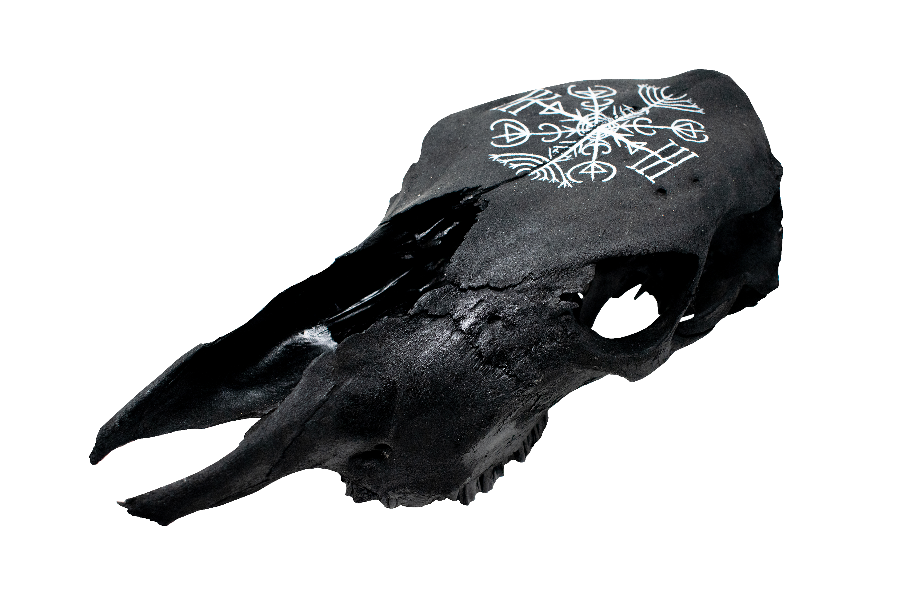 Blackened Cow Skull with Veldismagn Stave