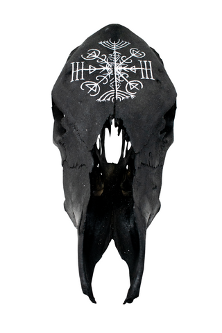 Image of Blackened Cow Skull with Veldismagn Stave