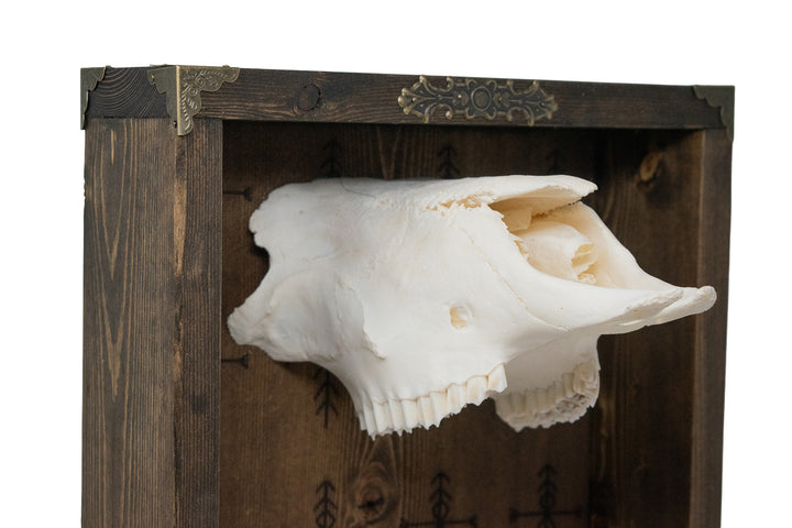 home protection sheep skull altar shelf
