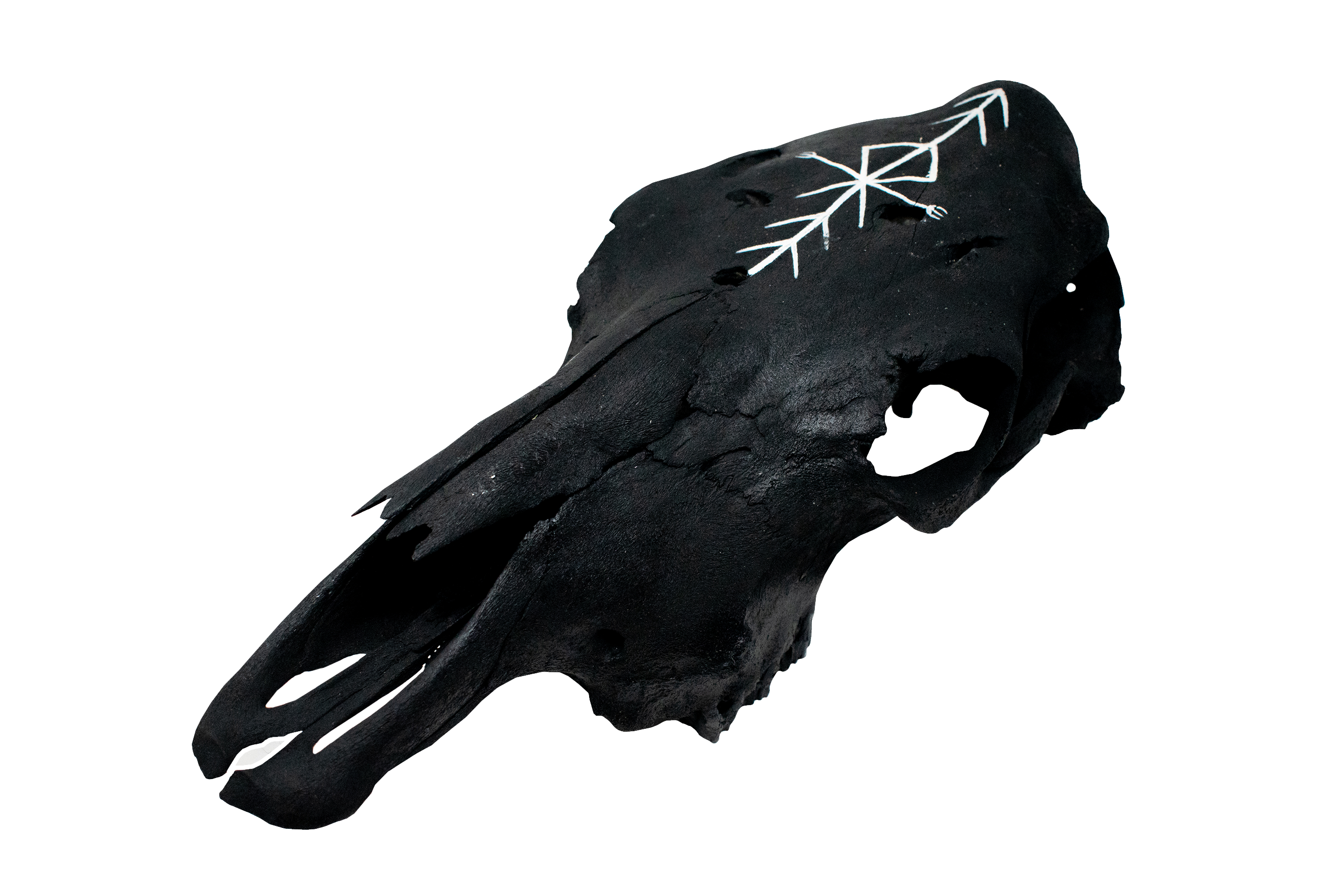 Blackened Cow Skull with Home Protection Bindrune #1