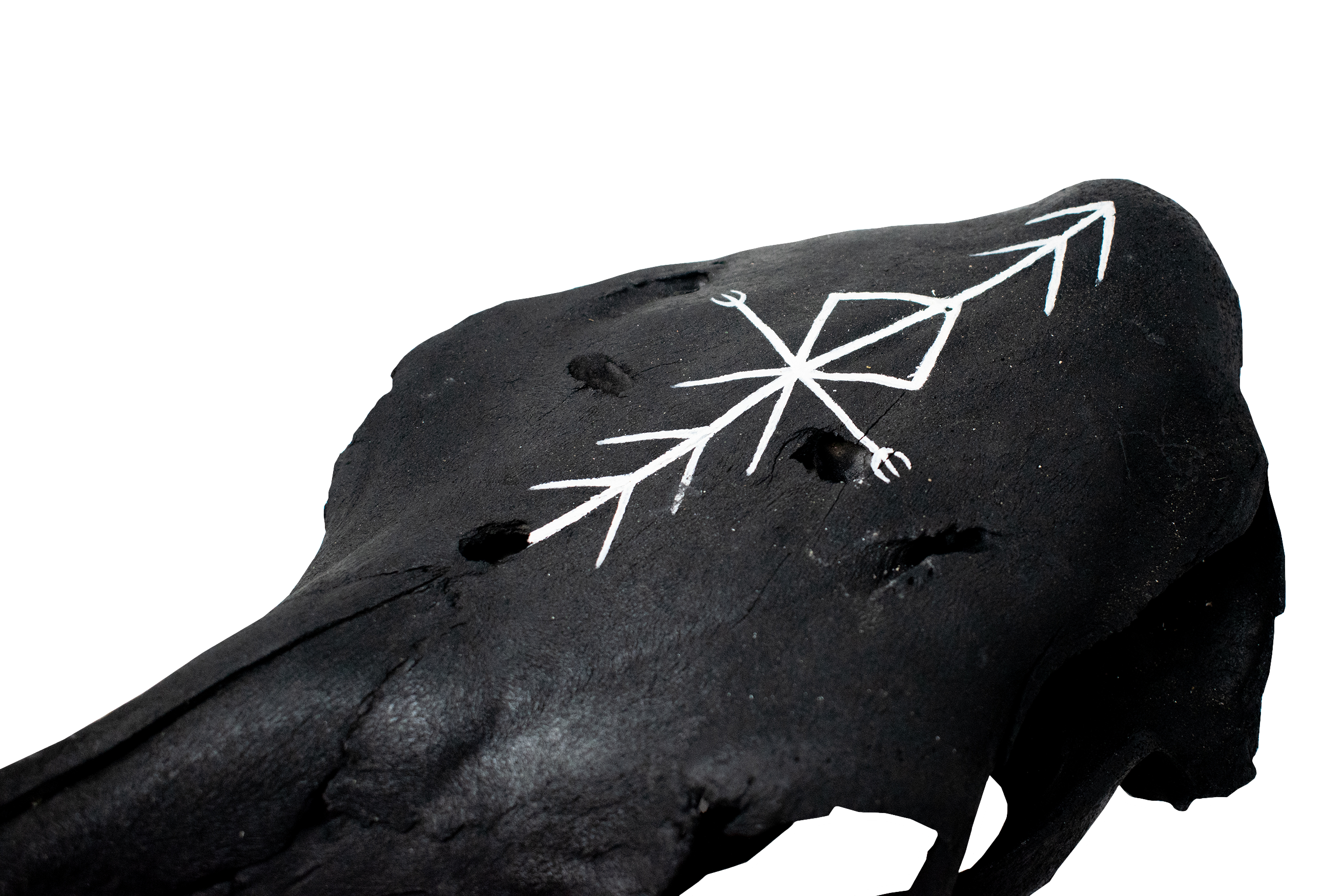 Blackened Cow Skull with Home Protection Bindrune #1